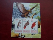 Centralna Afryka 2011  Fauna Ptaki