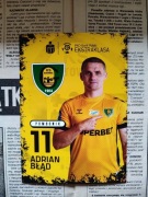 Karta Adrian Błąd GKS Katowice Zagłębie Lubin ekstraklasa liga Polska 