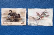 Ptaki. Australia 1991 r
