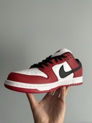 Nike SB Chicago 
