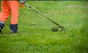 Koszenie trawników działek 