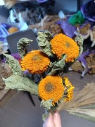 Słonecznik  naturalny suszony trawy  kwiaty bukiety 