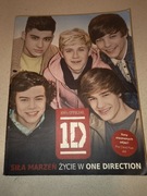 Siła marzeń życie w one direction 