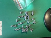 Model figurki Lordowej Latającej