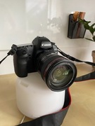 Canon EOS 5D Mark II + EF 24-105mm