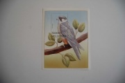 Mozambik Sw 2284** kobuz /ms/