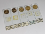 Preparaty mikroskopowe czasów PRL Unikat