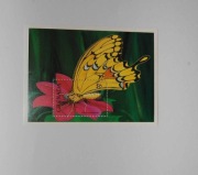Grenada Sw 2260** papilio cresphontes /ms/