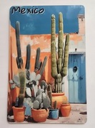 Magnes na lodówkę Mexico Meksyk Kaktusy Sombrerro Fawela Tequila(34).
