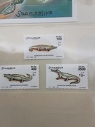 Somalia 2000 Mi 839-41 seria  krokodyl idealna pozycja 