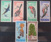 Fauna zwierzęta  ptaki Węgry
