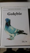 Bogato ilustrowana dla hodowców GOŁEBIE