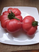 POMIDOR BABUSHKINA RADOST