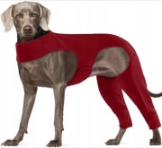 Hjyokuso Strój rekonwalescencyjny dla psów XL 