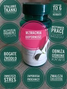 Kapsułki z zielonej herbaty 