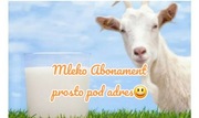 MLEKO kozie  ABONAMENT na 1 miesiąc Smart!