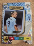 FIFA 365 LIMITED EDITION XL Erling HAALAND