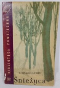 Śnieżyca. Iwan Szczegolichin