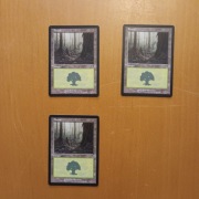 Forest (348) Odyssey MTG land