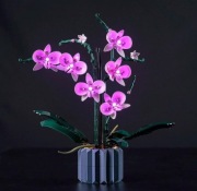 Zestaw Oświetlenia do Klocków 10311 Orchidea P49601