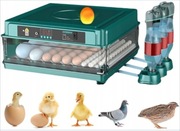 Inkubator do jaj 100% sprawdzony!