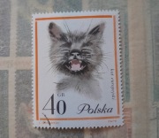 Znaczek pocztowy kot europejski 