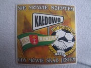 Vlepki Pomezania Malbork & Lechia Gdańsk