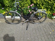 Rower Unibike AMSTERDAM 8R 28 19" damski