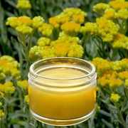 MAŚĆ Z KOCANKI DO SKÓRY SUCHEJ WRAŻLIWEJ I NACZYNIOWEJ  50 ml