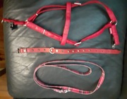 Szelki ze smyczą i obrożą