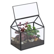 Szklane terrarium pojemnik w kształcie domu 15x11x16