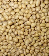 Soja ziarno 20 kg PL