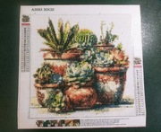Obrazek malowanie diamentami Sukulenty 