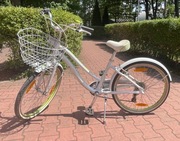 Rower giant gloss 24’