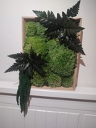 100% naturalny żywy obraz z mchu i roślin stabilizowanych , rozmiar S