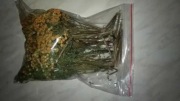 Wrotycz kwiat ziele suszony EKO ekologiczny 100g