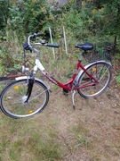 Rower City Bike Comfort