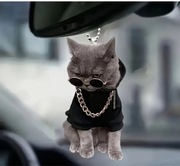 Stylowy Bryłek do samochodu