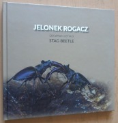 Jelonek Rogacz  Lucanus cervus – Stag Beetle 