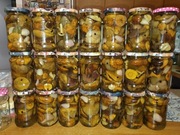 Pyszne Grzyby marynowane sł.-kwaśne. Atest Grzyboznawcy kurki podgrzybki