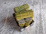 Sadzonki sztobry wierzby wiciowej 100 sztuk II gatunek