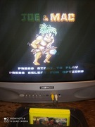 ORYGINALNY KARTRIDGE PEGAZUS JOE AND MAC(J-C5)