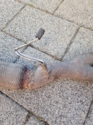 Fiat Barchetta  Kolektor ,Sonda Lambda