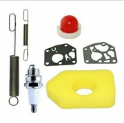 BRIGGS STRATTON FILTR MEMBRANY SPRĘŻYNA POMPKA