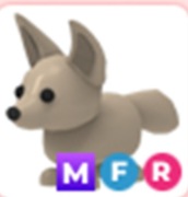 Fennec Fox, zwierzak w adopt me na roblox, MFR