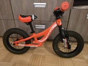 Rower Biegowy Coluer Rider 120