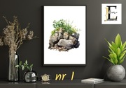 plakat a4, grafika, natura, rośliny, przyroda, kwiaty, skały, sukulenty