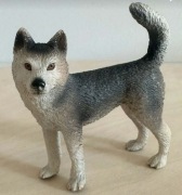 Schleich pies Husky