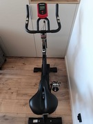 Rower treningowy spinningowy inSPORTline Alfan