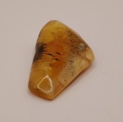 Bursztyn bałtycki - bryłka